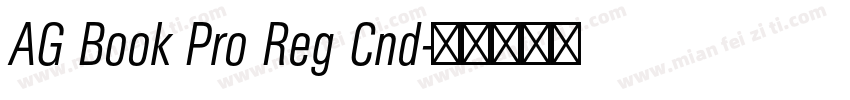 AG Book Pro Reg Cnd字体转换